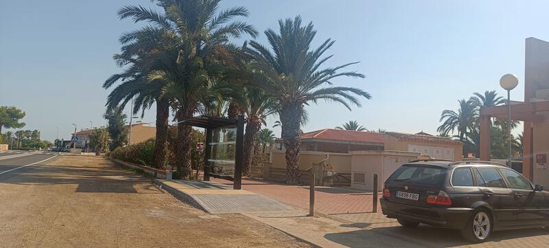 Bus stop by La Palmera Bar & Grill, Estrella del Mar