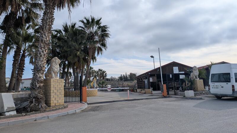 Camping Oasis Entrada