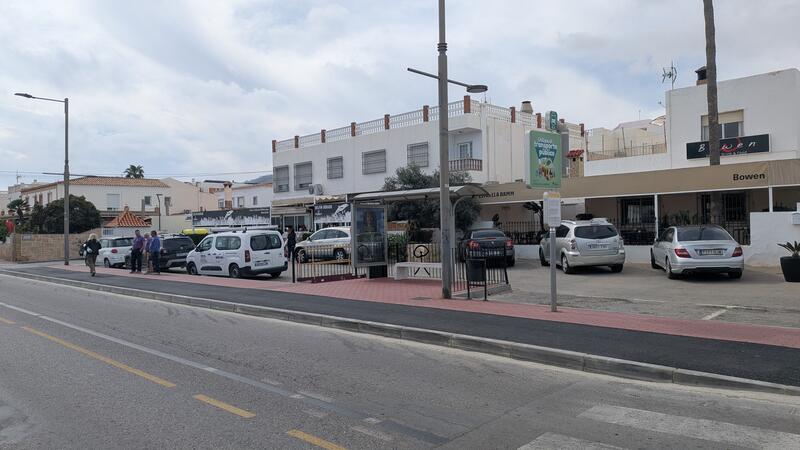 Mojacar, Delfin Dorado (Parada de Autobuses)