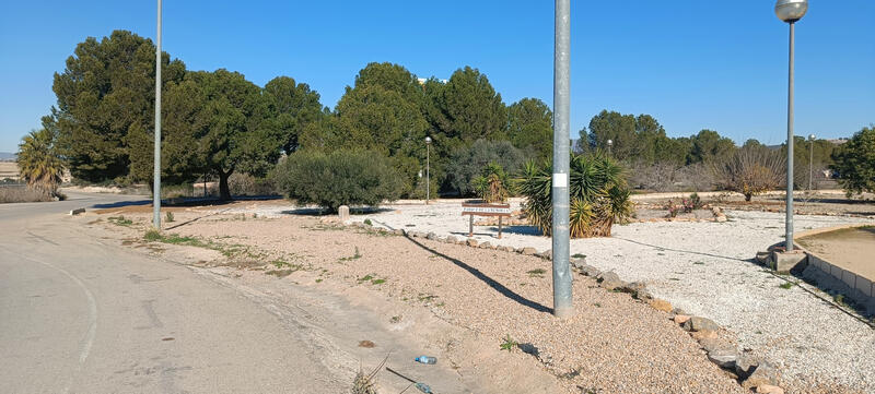 Camposol A (El Saladillo) roundabout