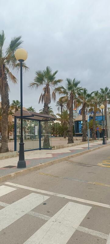 Bus stop near Burger King, La Manga