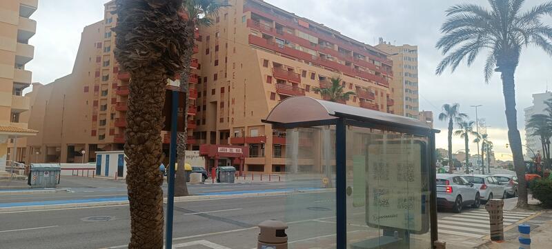 Bus stop opposite Jardin del Mar, La Manga