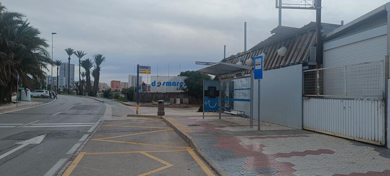 Bus stop, Plaza de Bohemia, La Manga