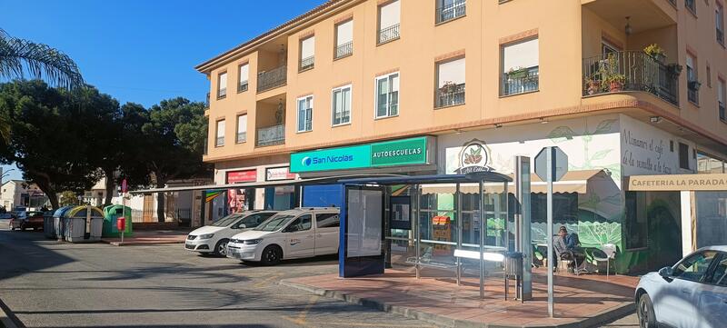 Bus stop next to the taxi rank, San Javier